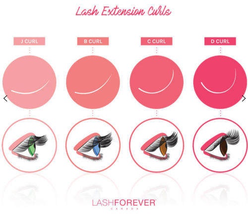 LASHFOREVER Lash Curl Chart Diagram of various lash extension curls. Includes J, B, C and D curls.