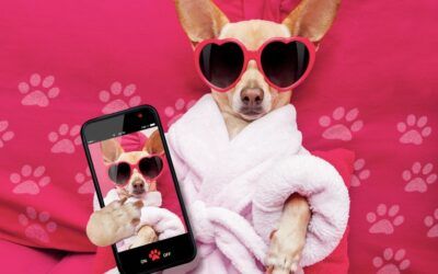 Optimizing Your Social Media for the Beauty Industry