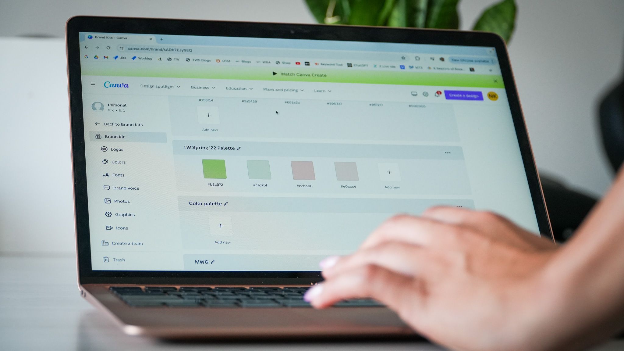 "An esthetician enhancing their portfolio using their own brand colours on canva"